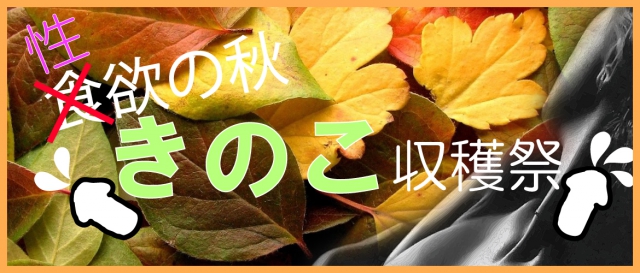 Cxg摜20